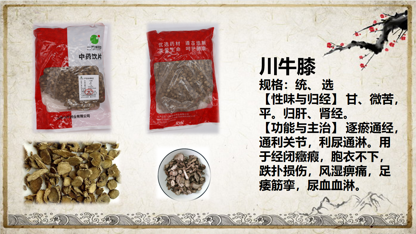 川牛膝