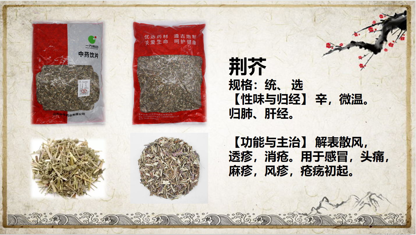 荆芥
