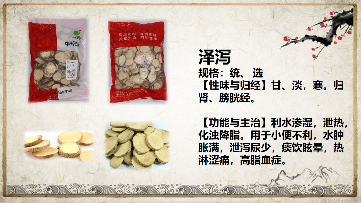 泽泻